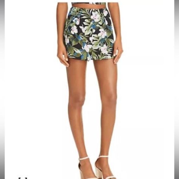 Show Me Your MuMu Sawyer Printed Shorts - Picture 1 of 3